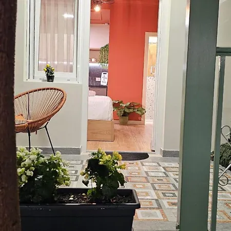 Olive Garden Terracota