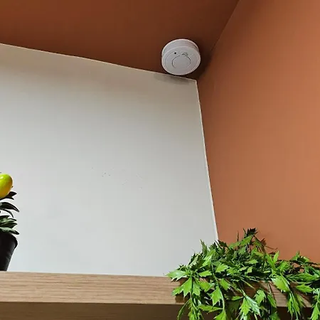 Apartment Olive Garden Terracota