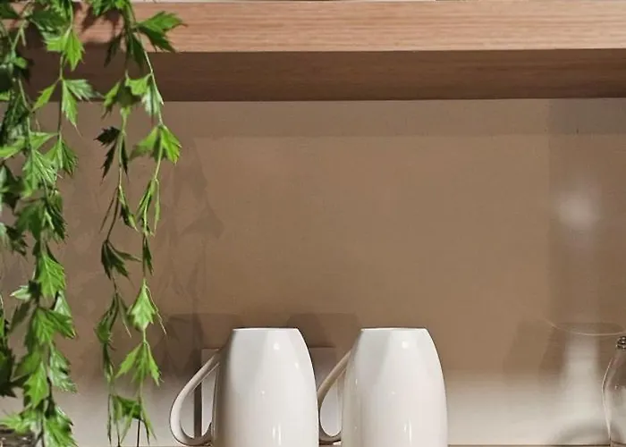 Olive Garden Terracota *