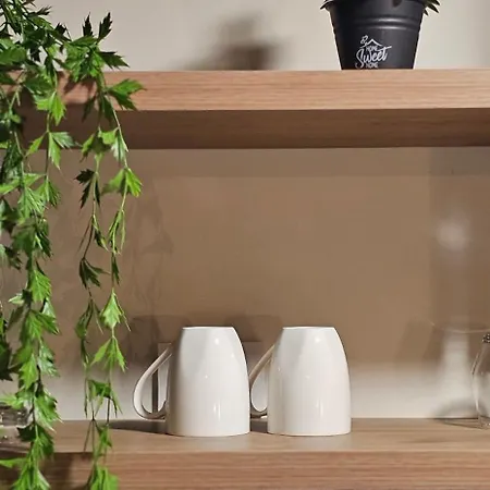 Olive Garden Terracota *